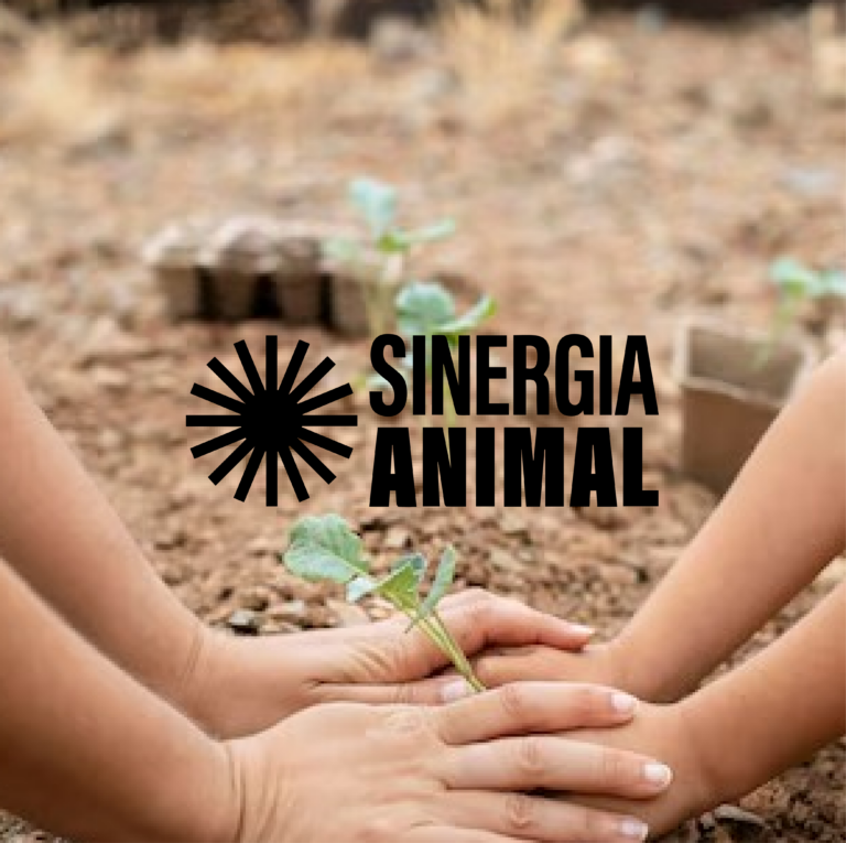 Sinergia_anverso